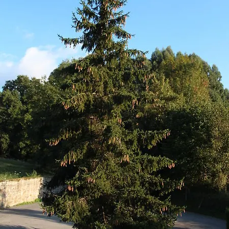 Calera מלון Valle De Villaverde