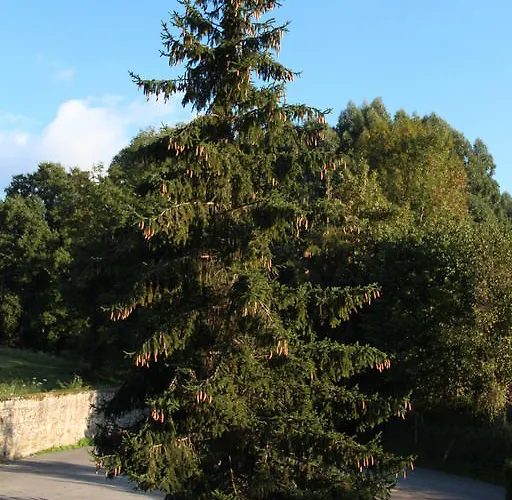 Calera Hotel Valle De Villaverde